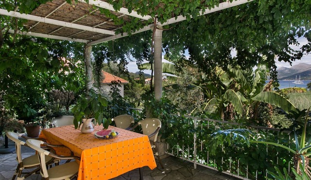 Apartments Maria Koločep- Studio Apartment with Terrace and Sea View