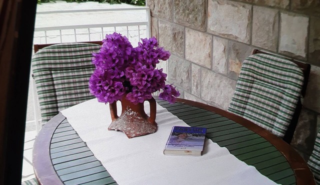 Apartments Maria Koločep- Three Bedroom Apartment with Backyard Terrace and Sea View