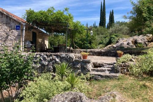 Apartments with parking space Gruda, Dubrovnik - 24966