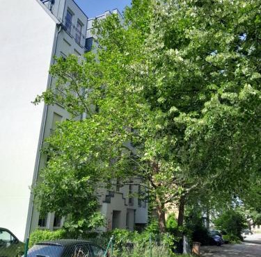 Appartement Denis in Chemnitz
