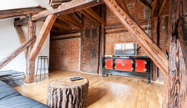 Authentic & Charming Loft-directly in the center in Košický kraj