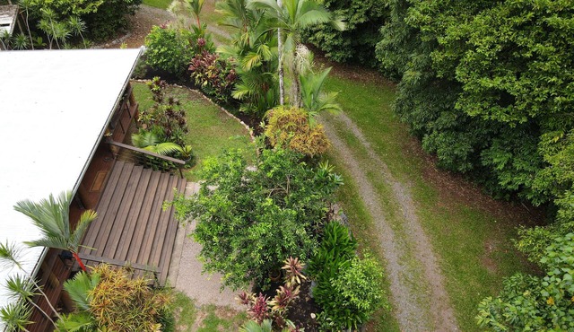 Bowenia Daintree Rainforest Retreat