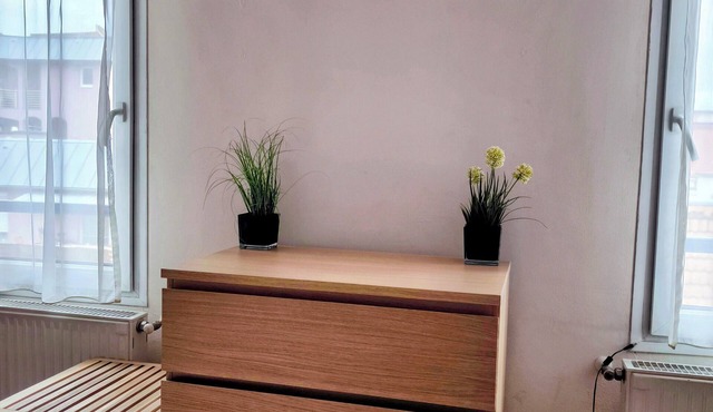 Budapest Studio Apartment in IX. kerület