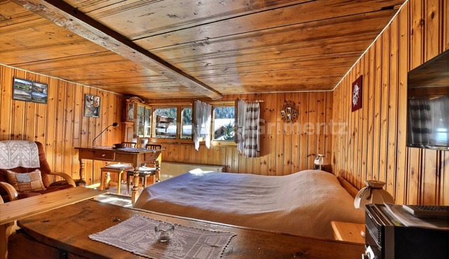 Comfortable flat for 3 people, living room with 1 double bed, kitchen with dining area, 1 small 1-be in Grimentz