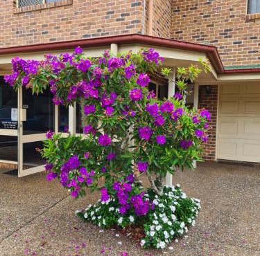 Country Gardens Motor Inn