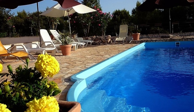 Cozy apartment-studio for two guests on island Šolta,Rogač in Rogač