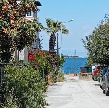 Dal urla in Urla