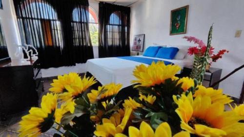 HOTEL OCCIDENTAL - DAVID CHIRIQUi in David