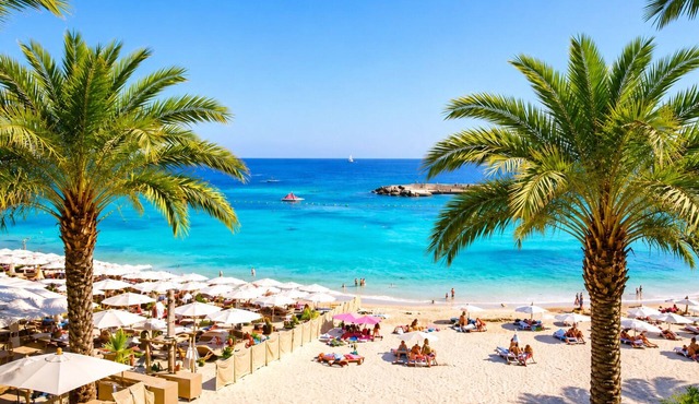 Les Orchidées Monaco