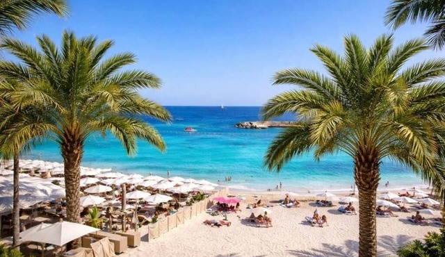 Les Orchidées Monaco