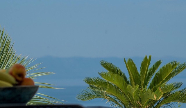 Luxury Apt In Villa Citrin Shared Pool Sea View