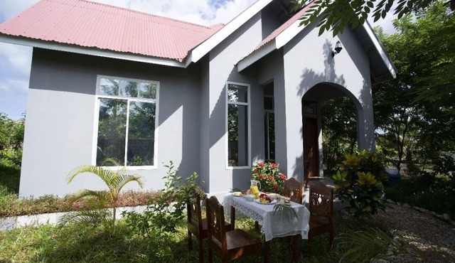 Michamvi Holiday Homes