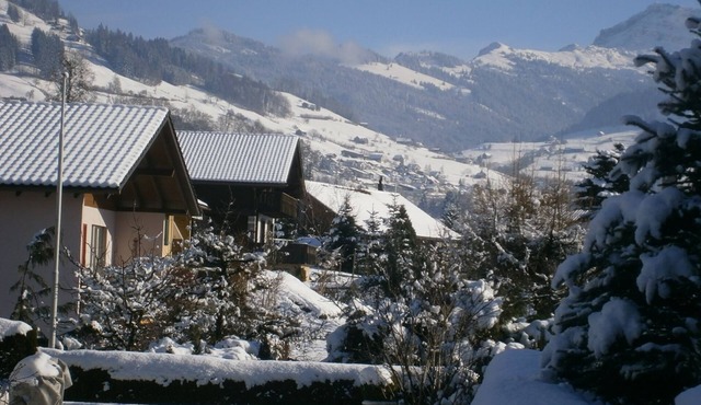 Modern, 62m2 studio with kitchen in Gommiswald