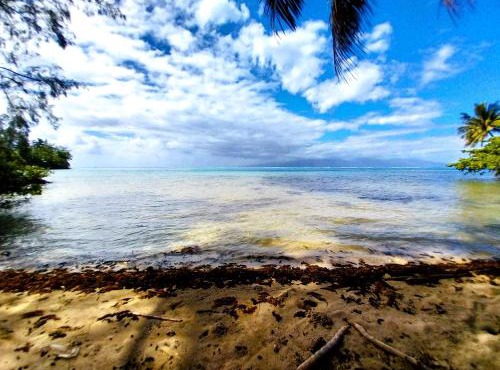 MOOREA - Utuafare OaOa Room Piti in Afareaitu