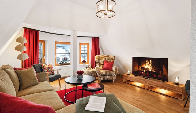 Nutcracker Suite Arrive & feel good *3 bedrooms. Roof terrace Friends Family in Chemnitz