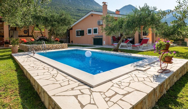 Pet friendly home in Desne
