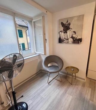 Private Studio Apartment in Bremgarten