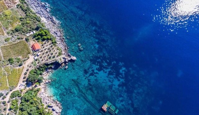 Seaside house for families with children Postup, Peljesac - 20849