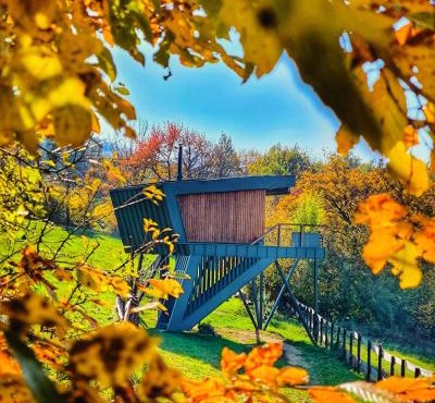 Treedom in Prievidza