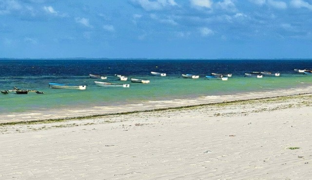 Uroa Beachfront Apt Direct Sand in Uroa