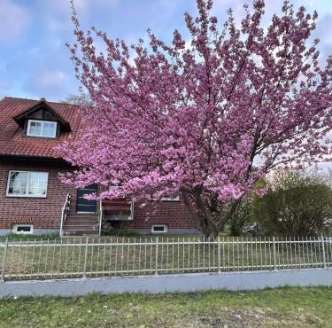 Vacation apartment between Berlin and Potsdam, 60 Quadratmeter mit glasfaser und Netflix in Berlin