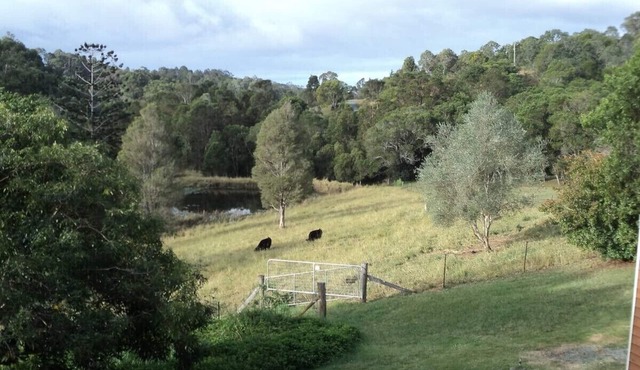 Valley View