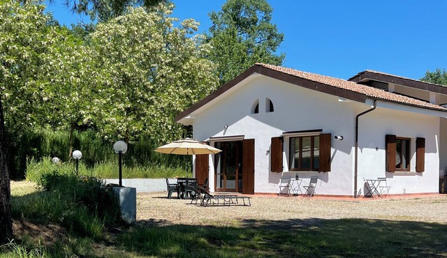 “Vineyard Views & Tranquility Near Dozza – Stylish New Refurbished Apt Sleeps 4 in Emilia-Romagna
