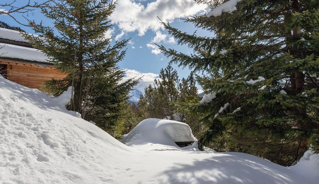 Wonderful private villa for 8 people with WIFI, TV, terrace, pets allowed and panoramic view in Champex