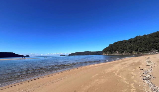 Your own little private paradise in the forest but minutes from the beach.