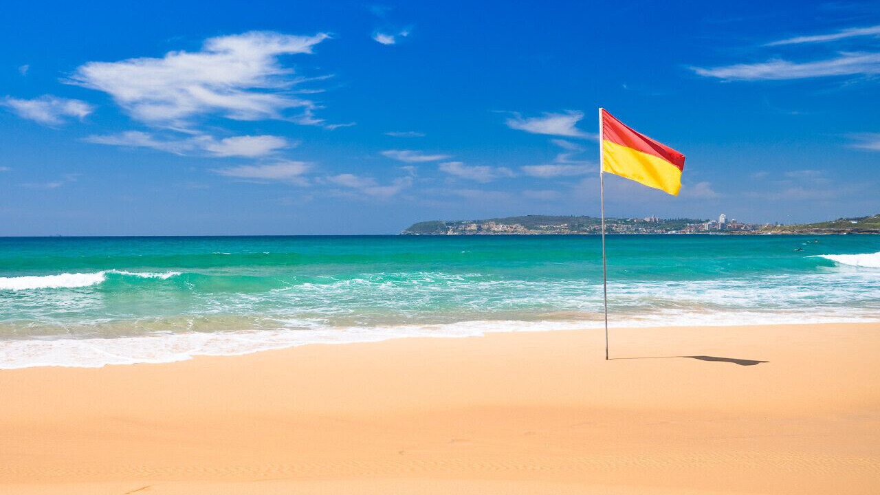 Photo of Others in Dee Why