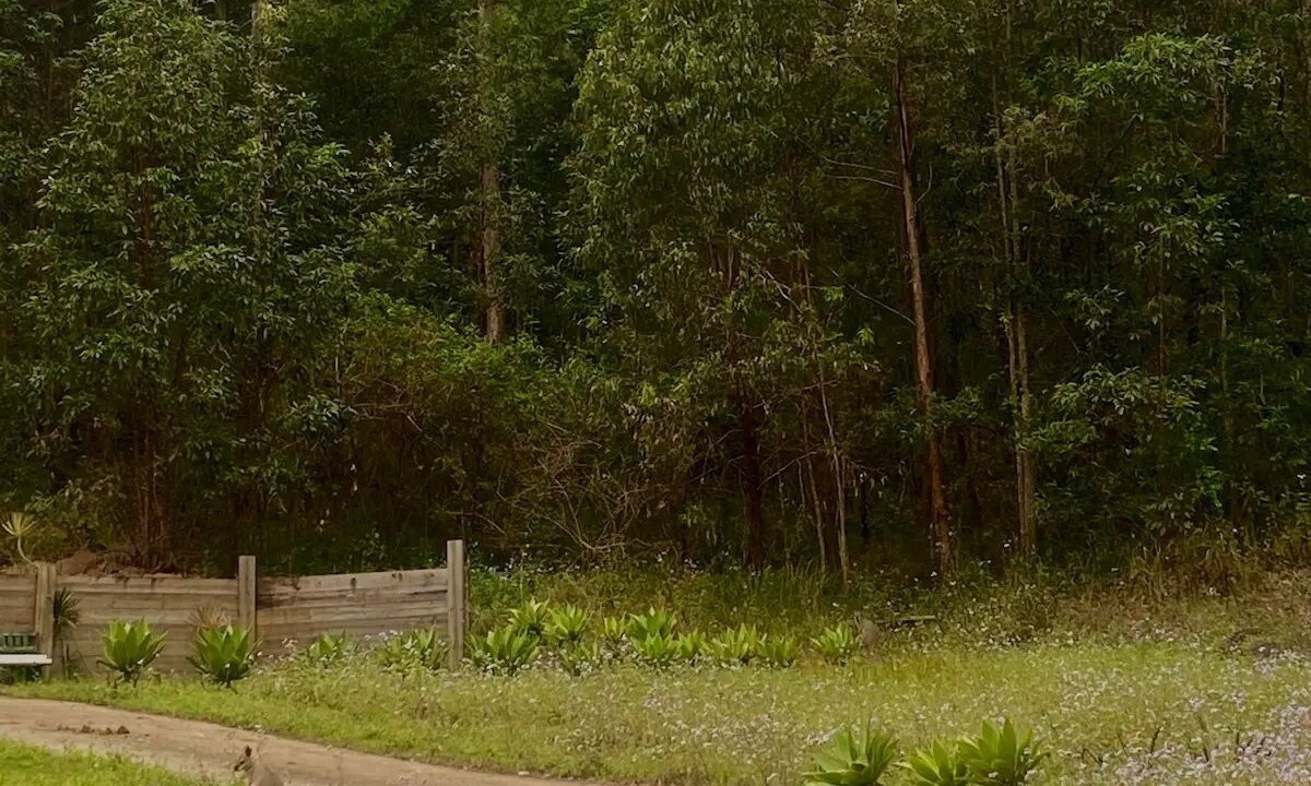 Photo of Outdoor in Boyland