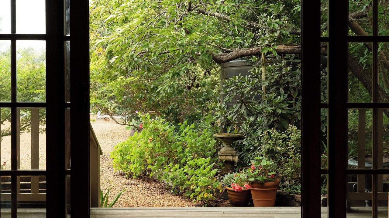 Photo of Others in Katoomba