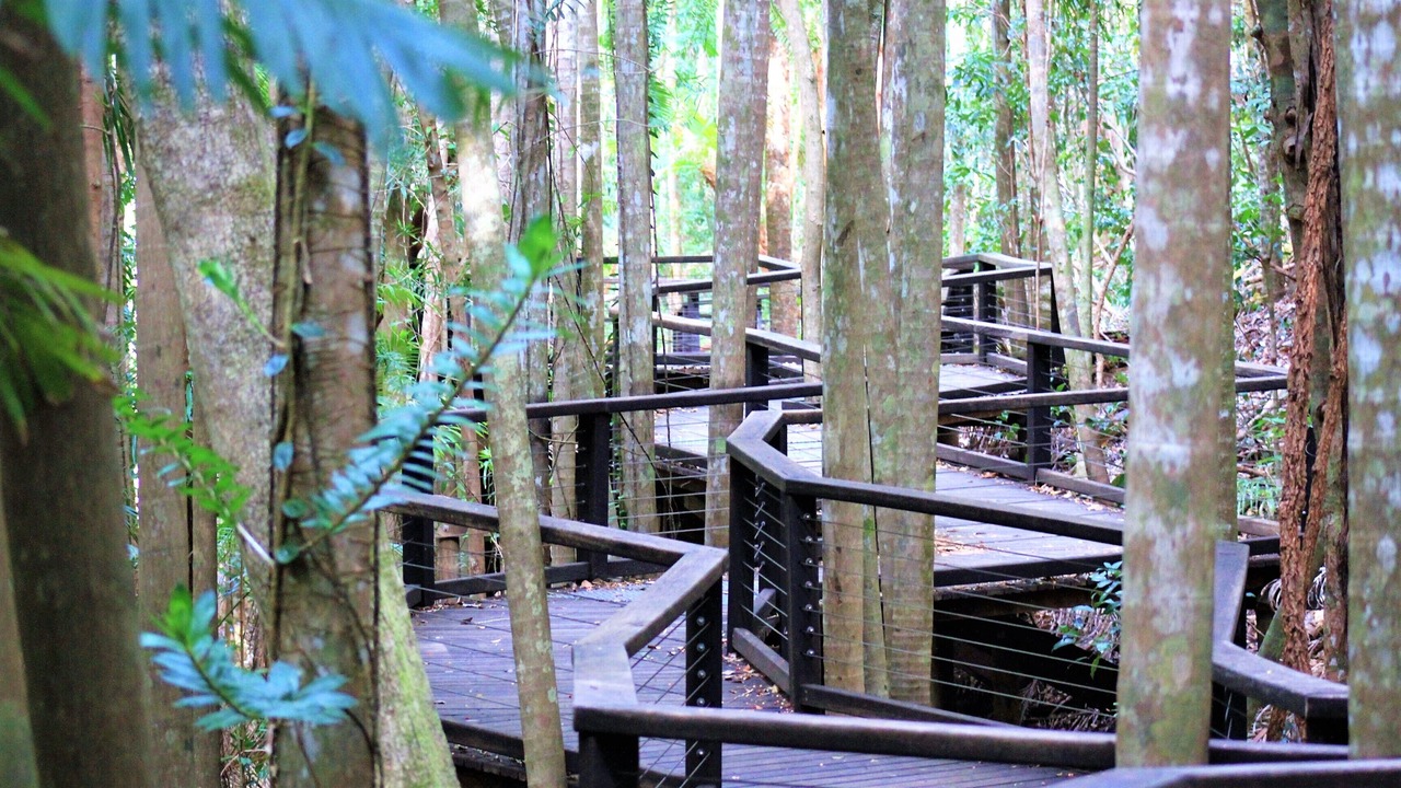 Photo of Outdoor in Fraser Coast