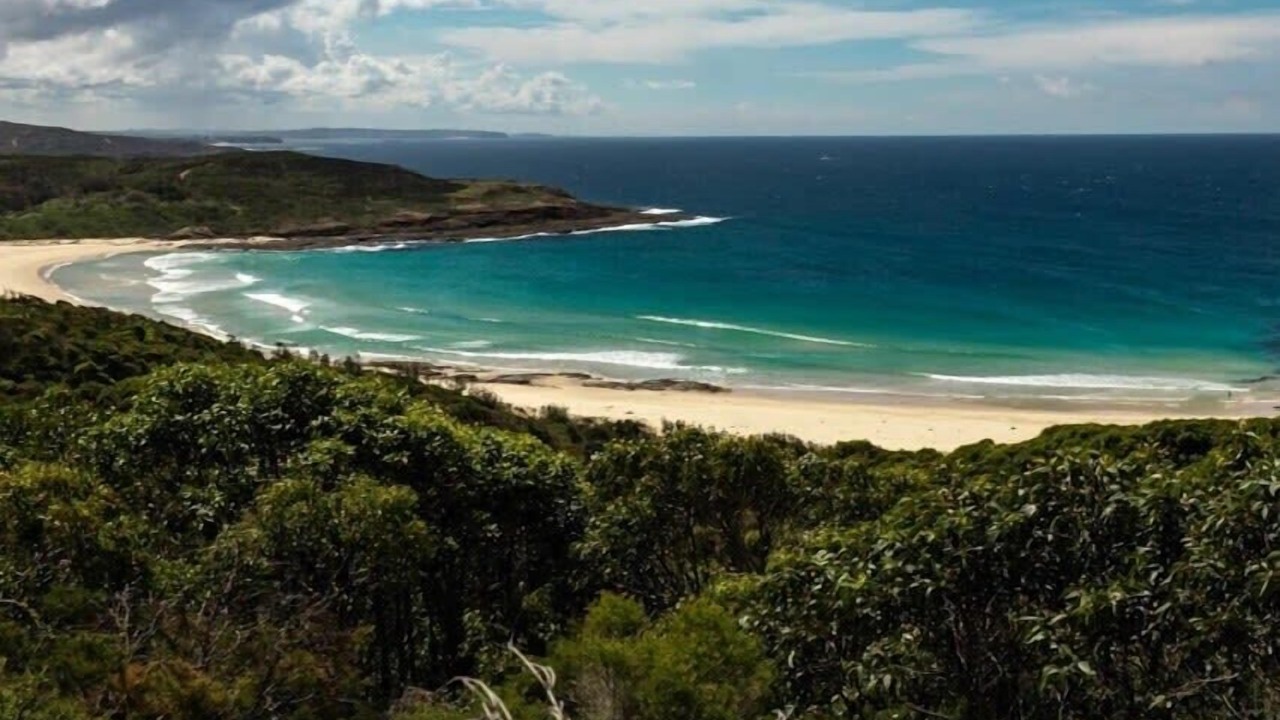 Photo of Others in Catherine Hill Bay