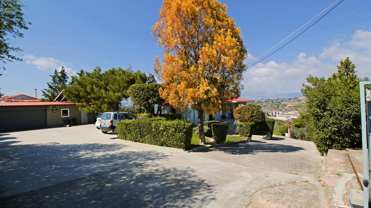 Photo of Outdoor in Markopoulo Mesogaias
