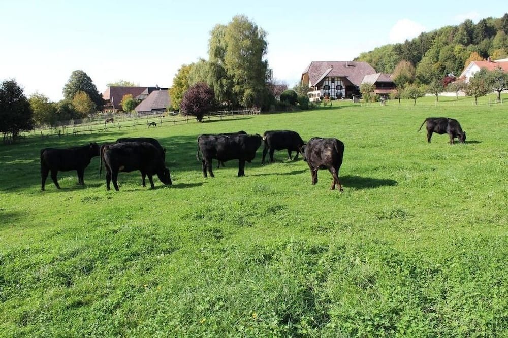 Photo of Others in Seeberg