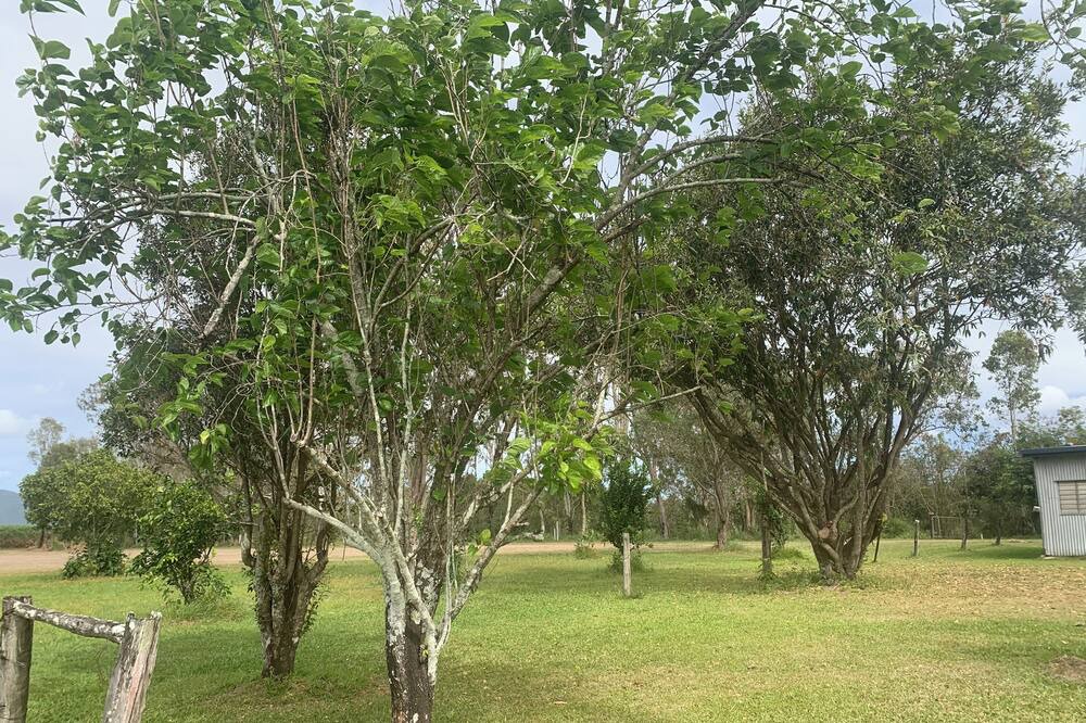 Photo of Outdoor in Peacock Siding