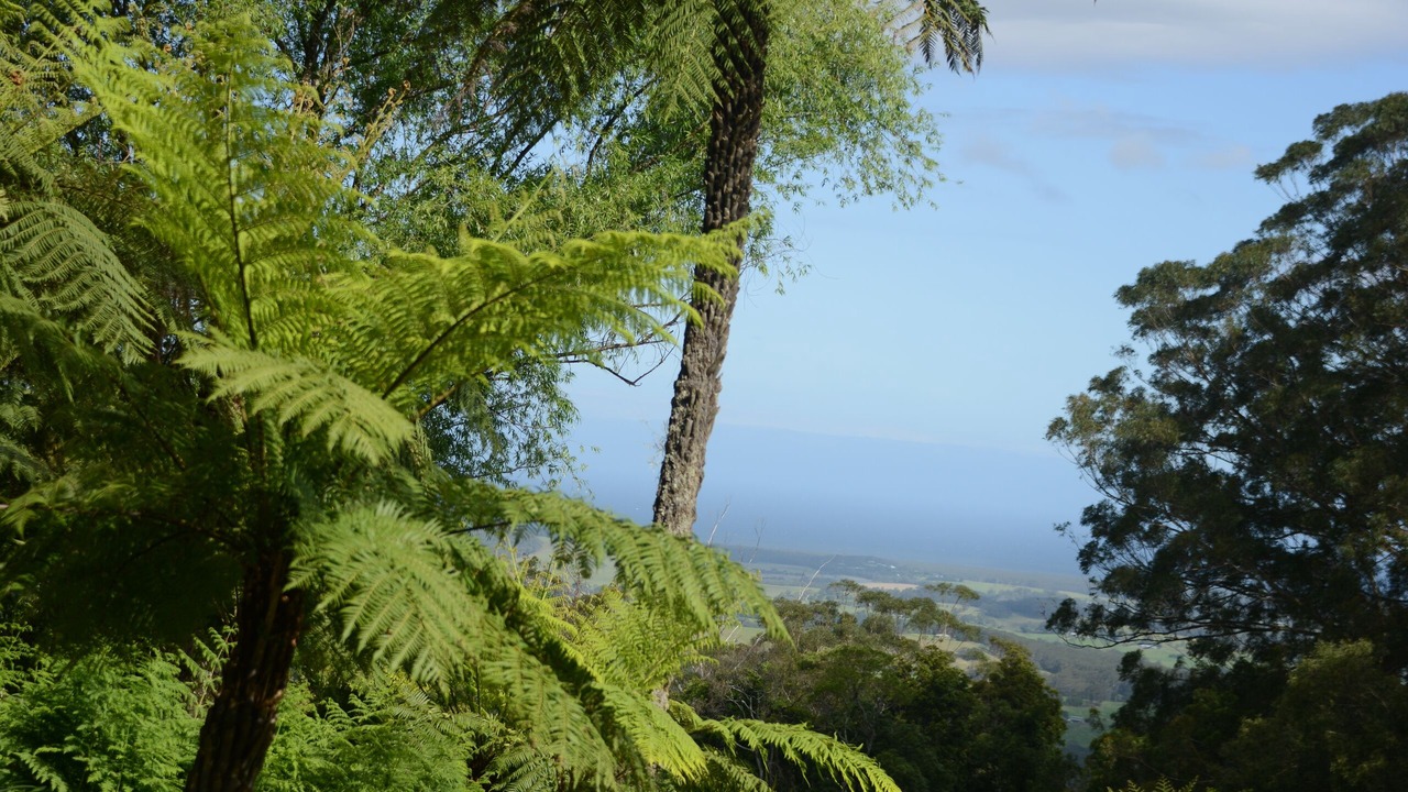 Photo of Outdoor in Woodhill