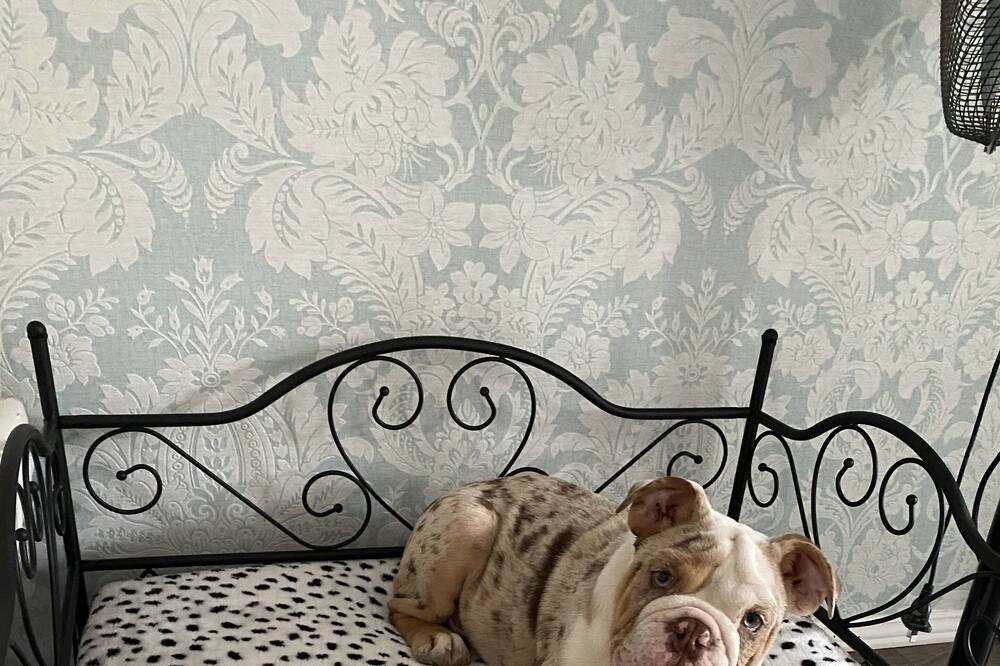 Photo of Bedroom in Bensville