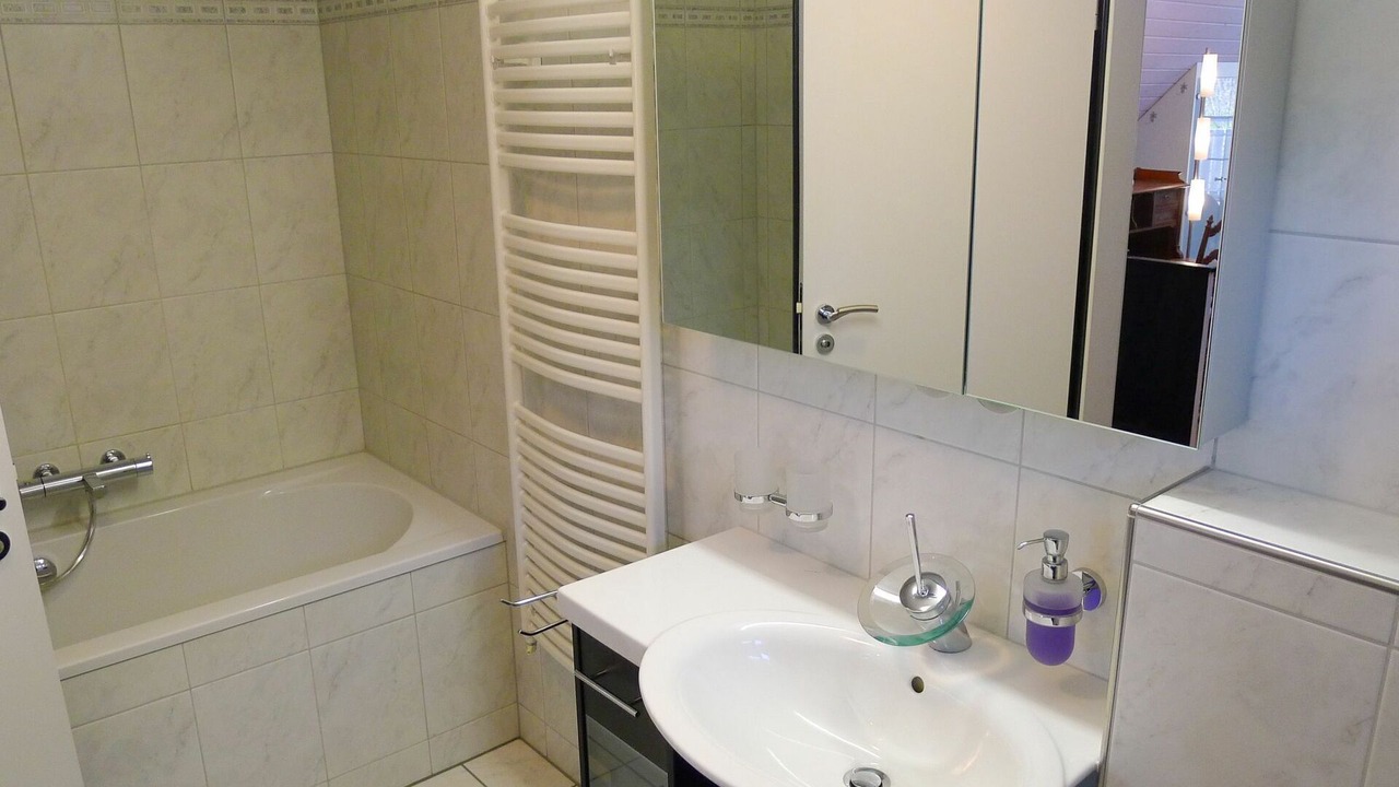 Photo of Bathroom in Horgen District