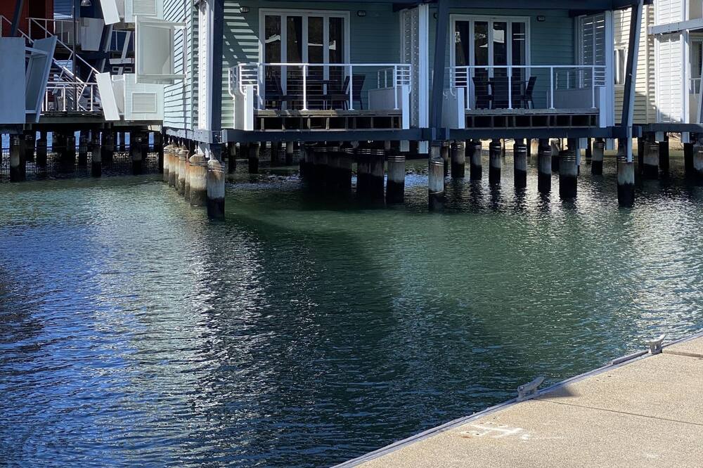 Photo of Outdoor in Gold Coast