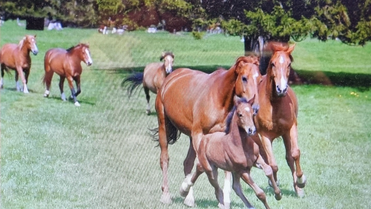 Photo of Outdoor in Les Breuleux