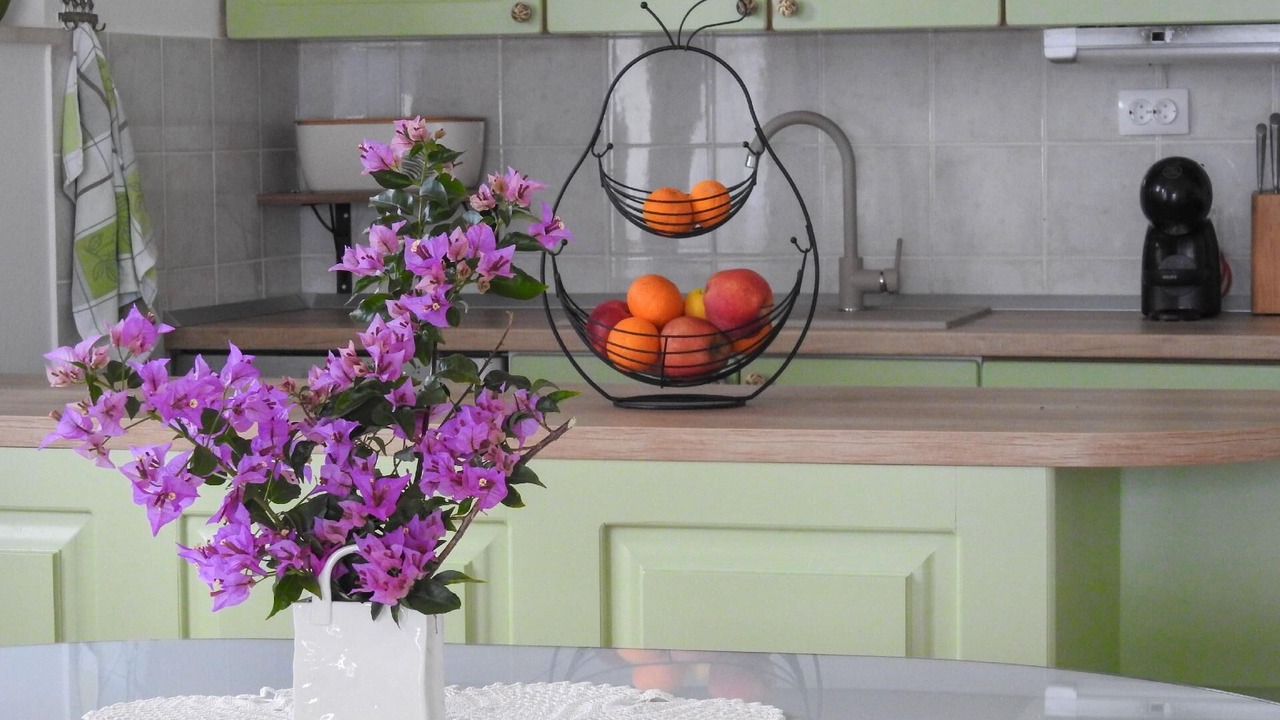 Photo of Kitchen in Viganj