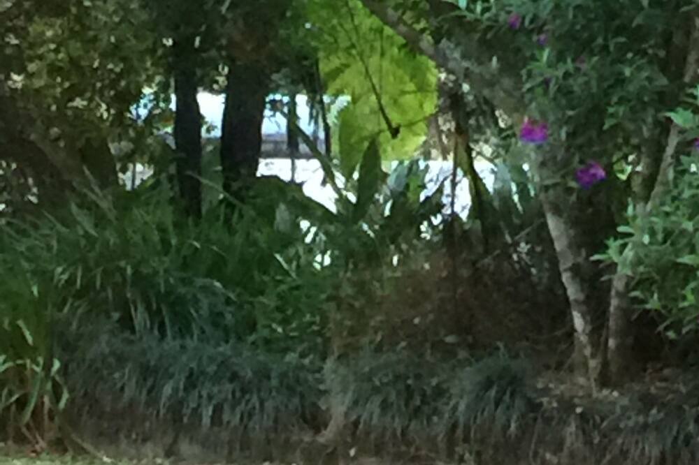 Photo of Outdoor in Booroobin