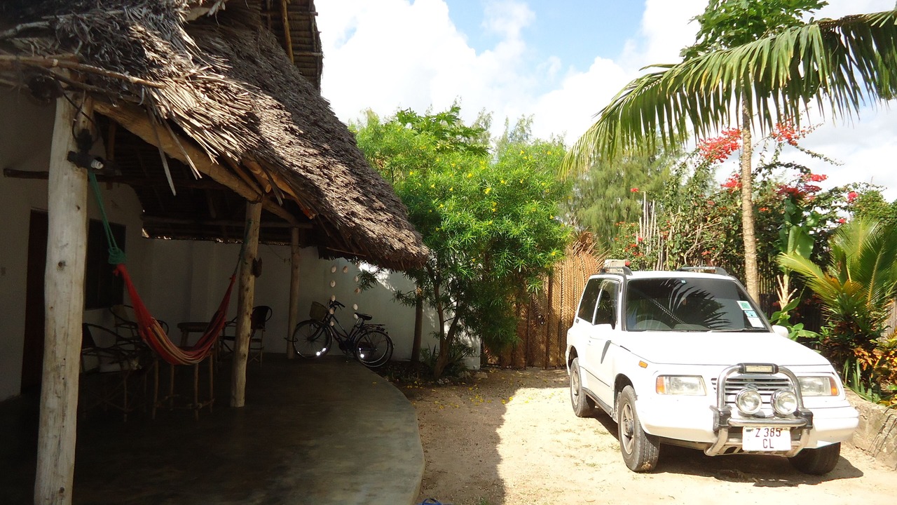 Photo of Outdoor in Jambiani