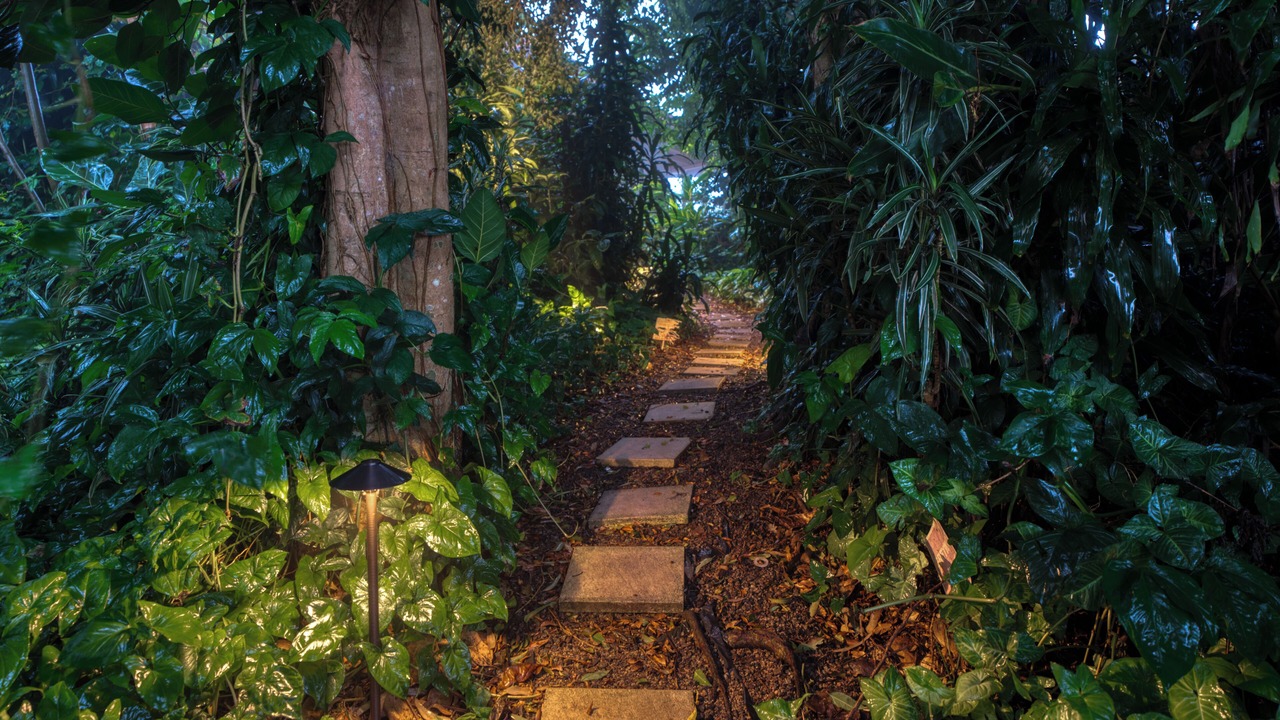 Photo of Outdoor in Maleny
