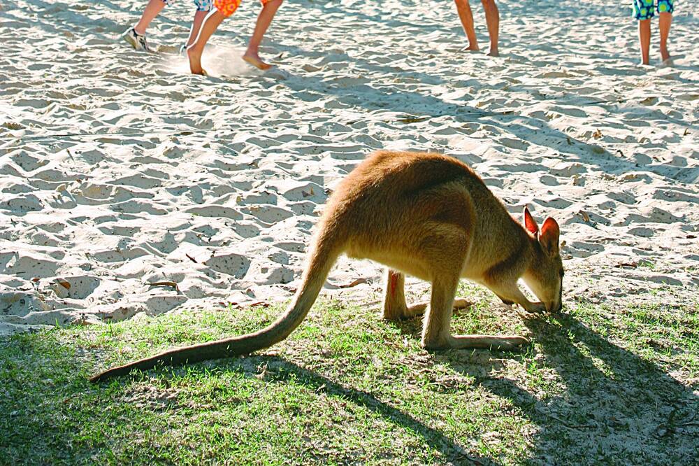 Photo of Others in Gold Coast
