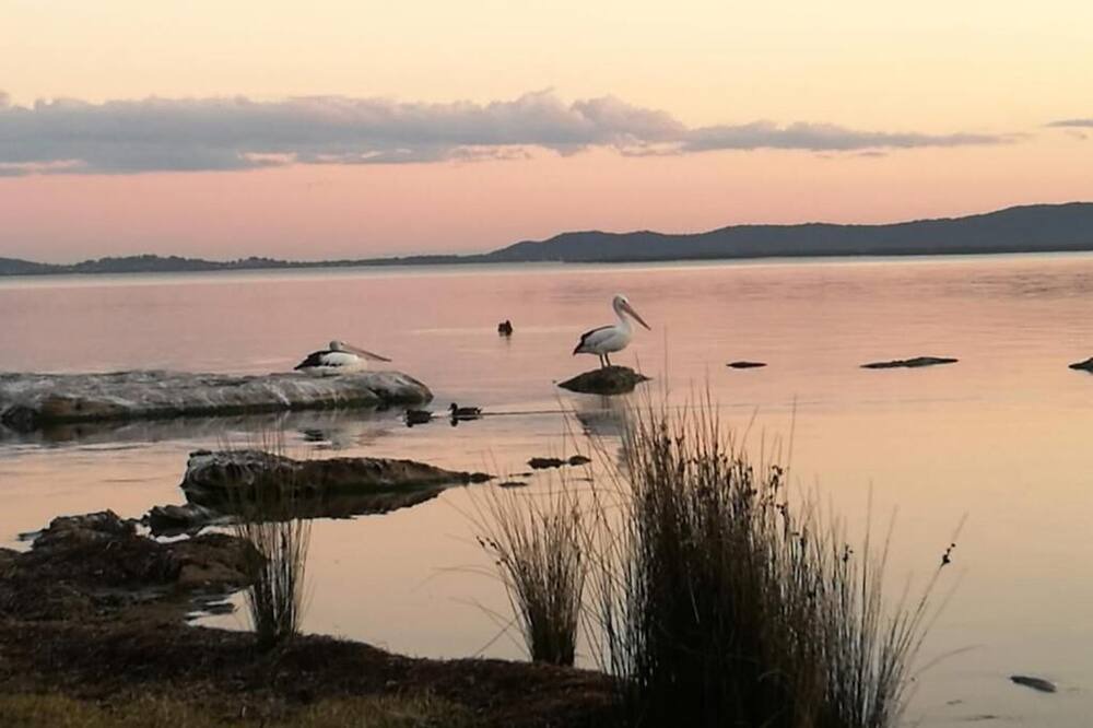 Photo of Others in Karraganbah