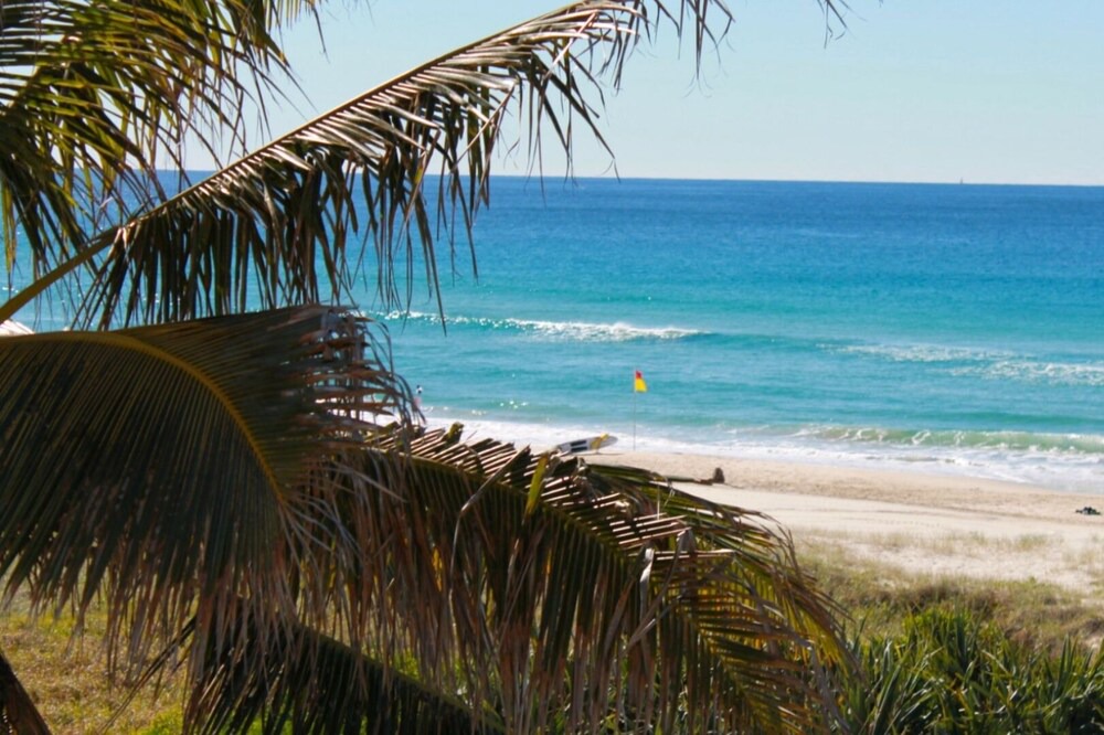Photo of Others in Palm Beach