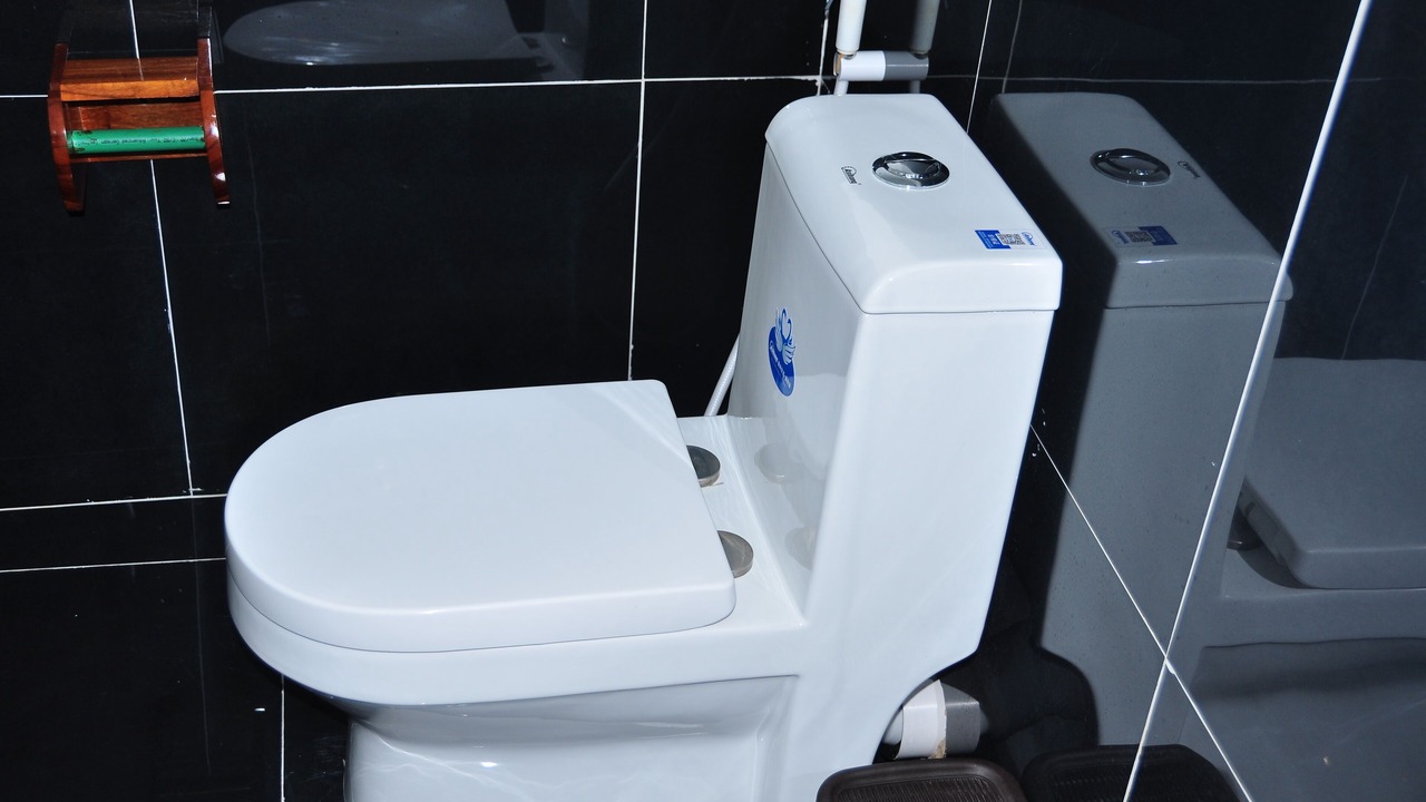 Photo of Bathroom in Kizimkazi